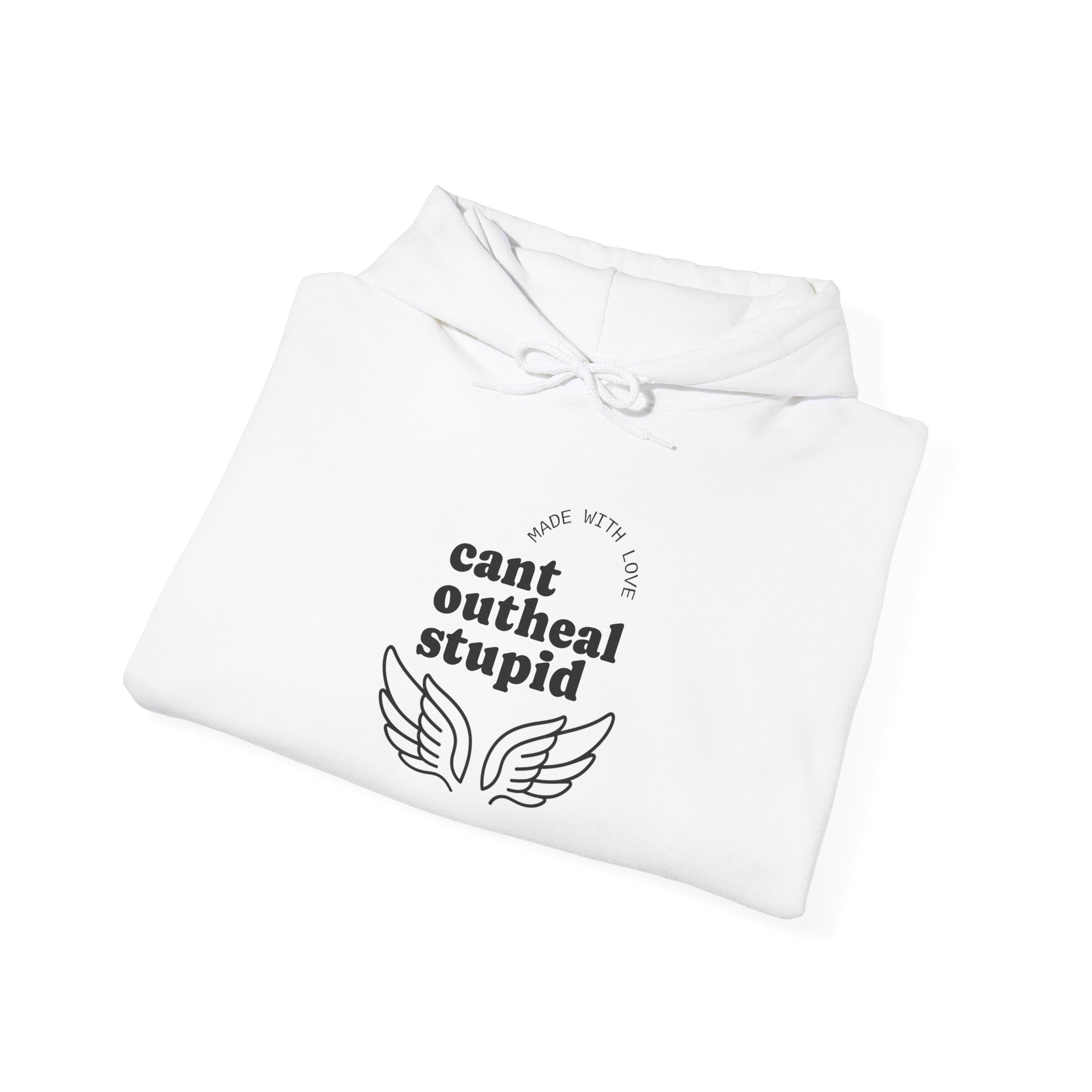Can't Outheal Stupid — Overwatch Mercy Hoodie