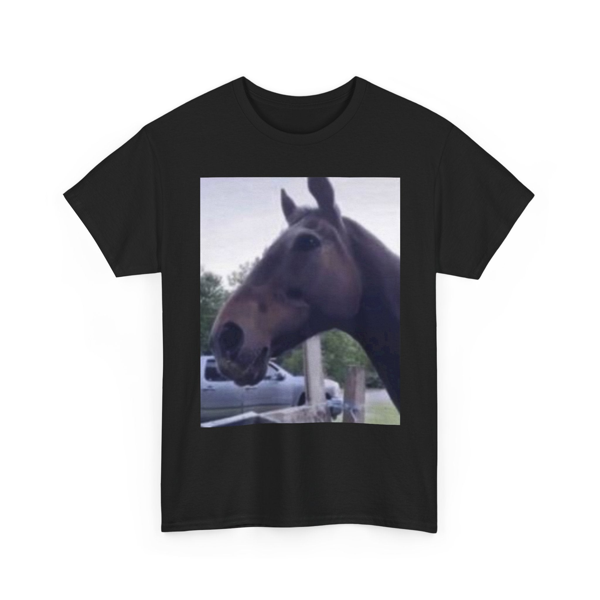 Horse Reaction T-Shirt