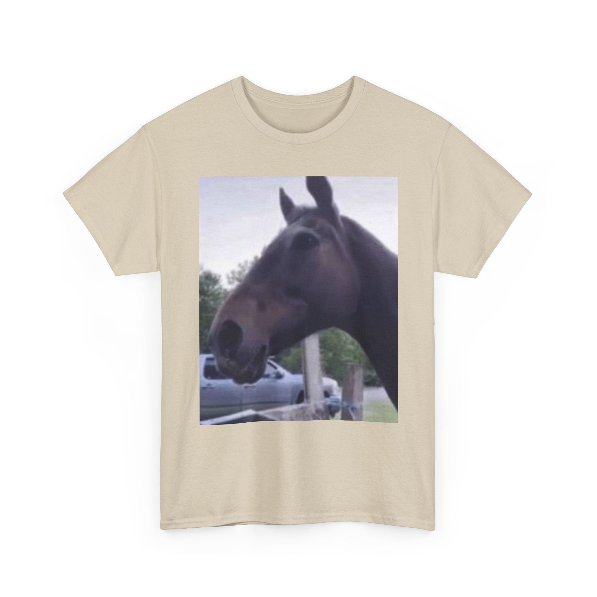 Horse Reaction T-Shirt