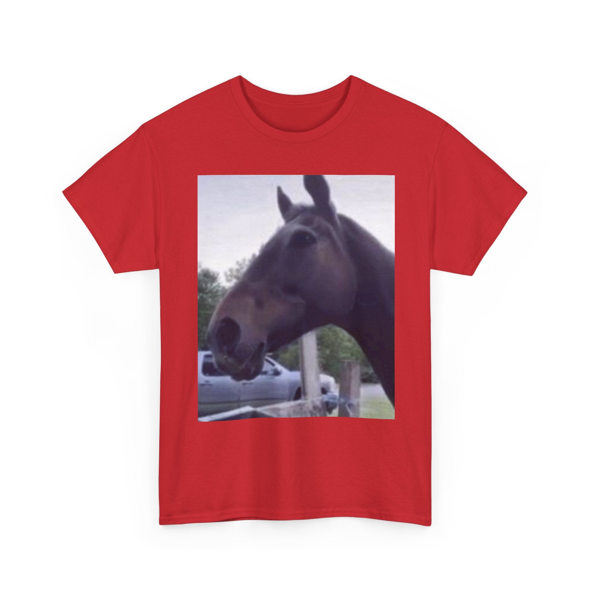Horse Reaction T-Shirt