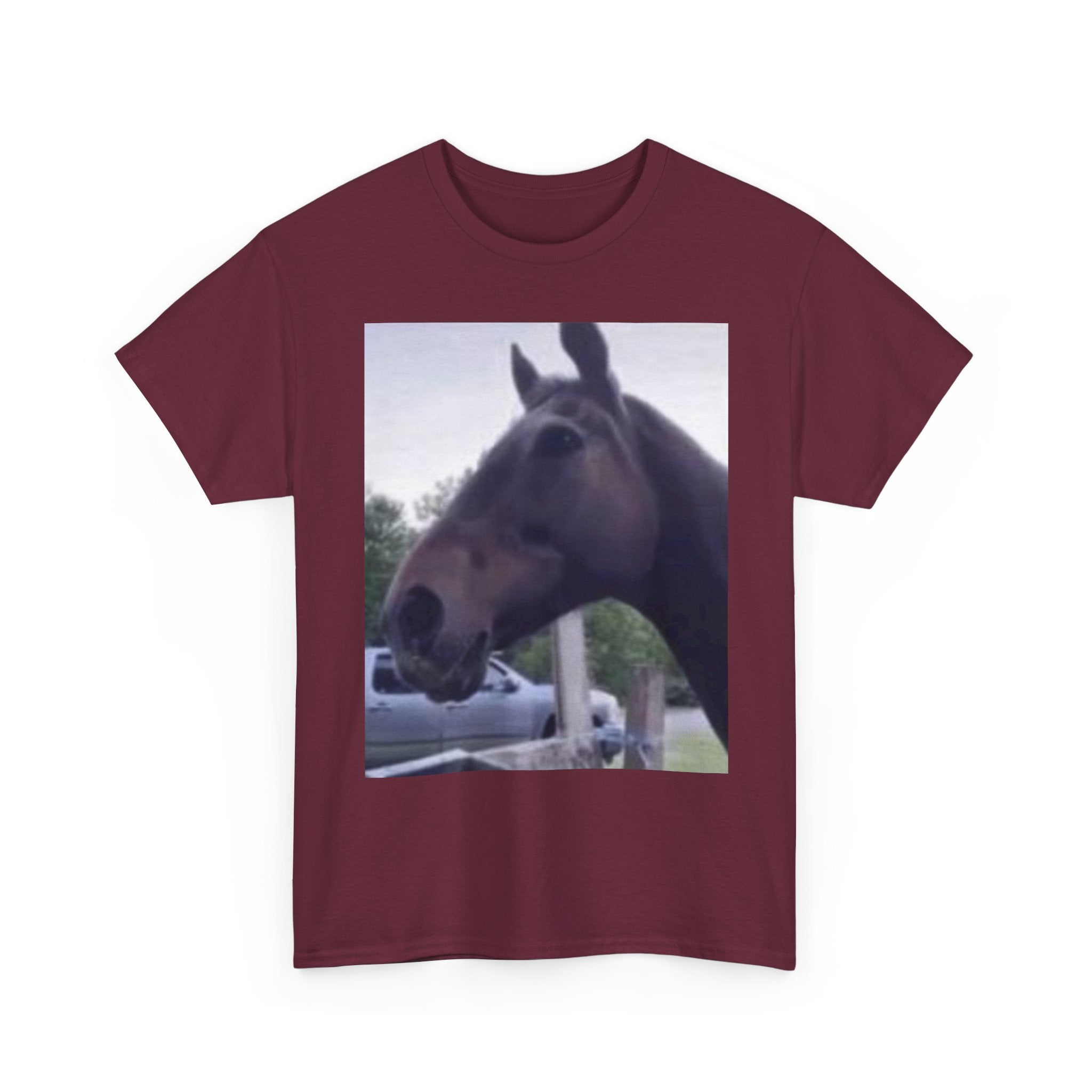 Horse Reaction T-Shirt