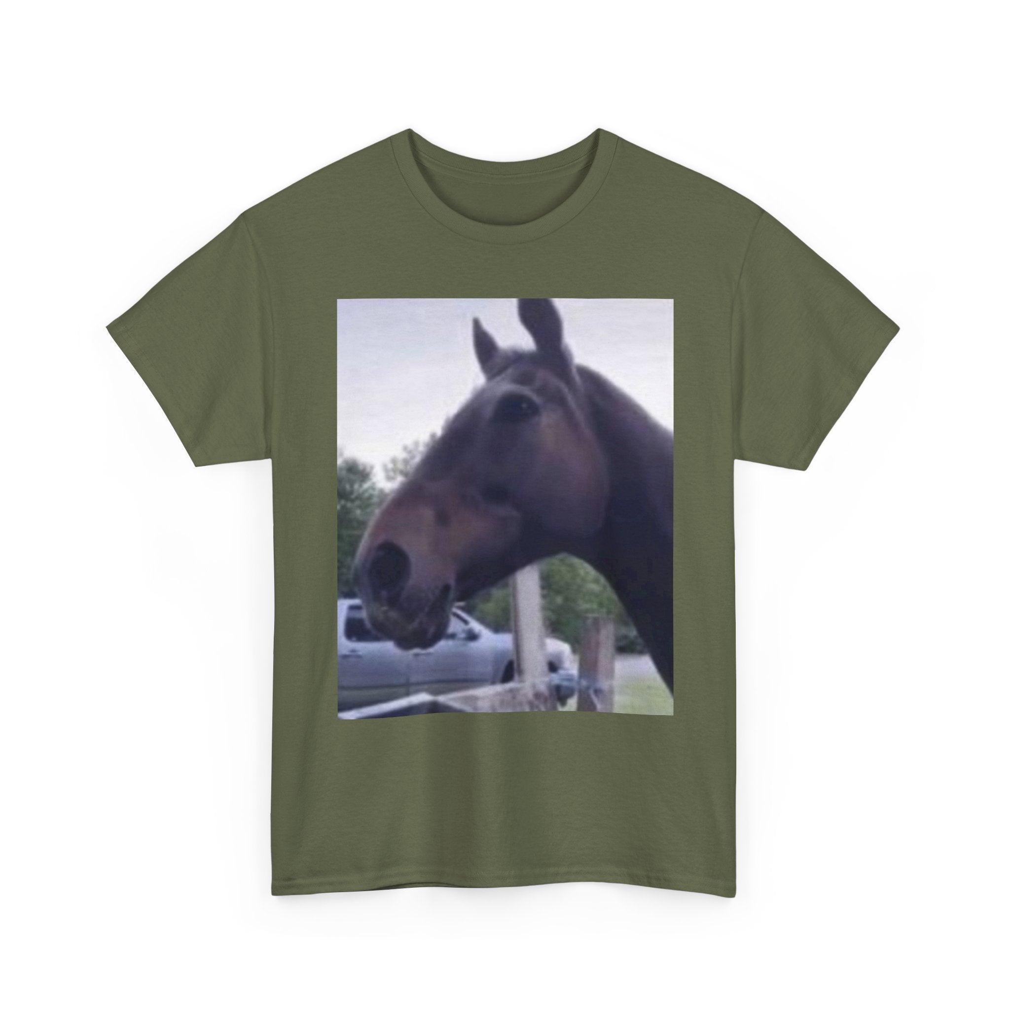 Horse Reaction T-Shirt