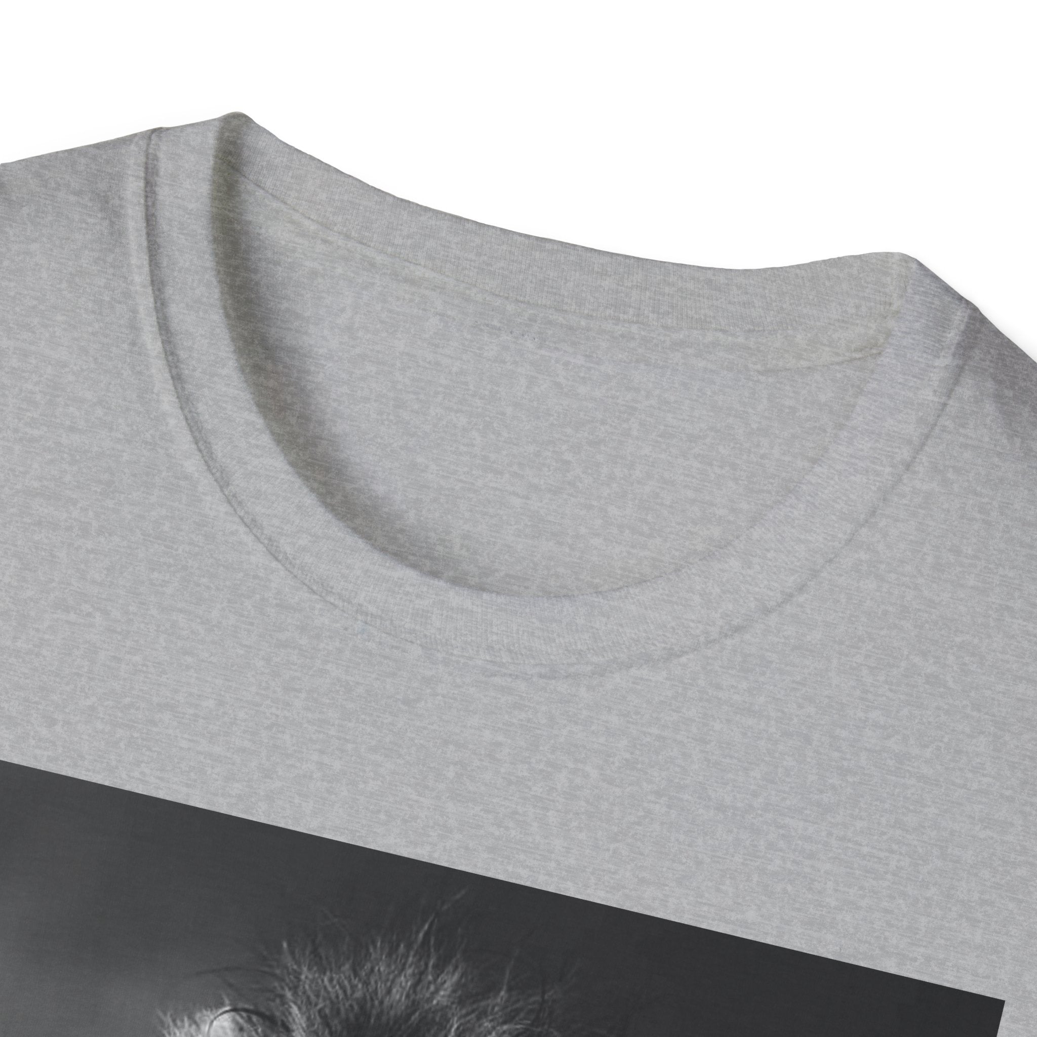 The Lion T-Shirt