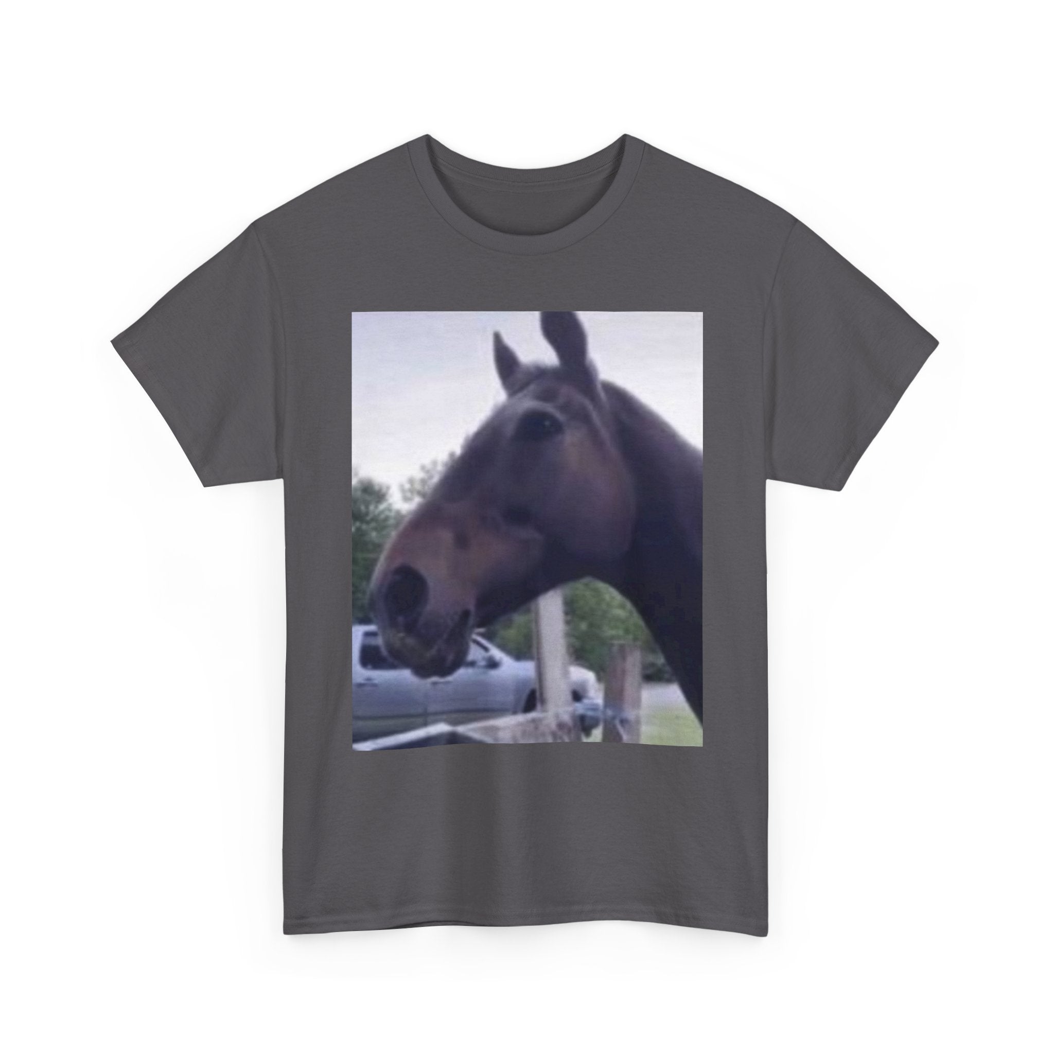 Horse Reaction T-Shirt